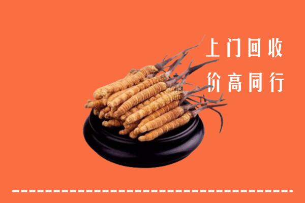 高价求购：许昌市襄城县回收散虫草