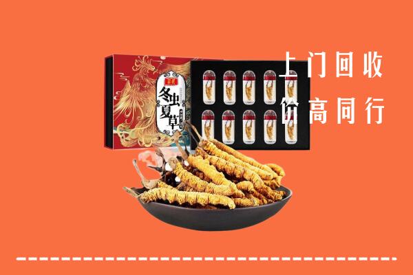 许昌市襄城县回收虫草